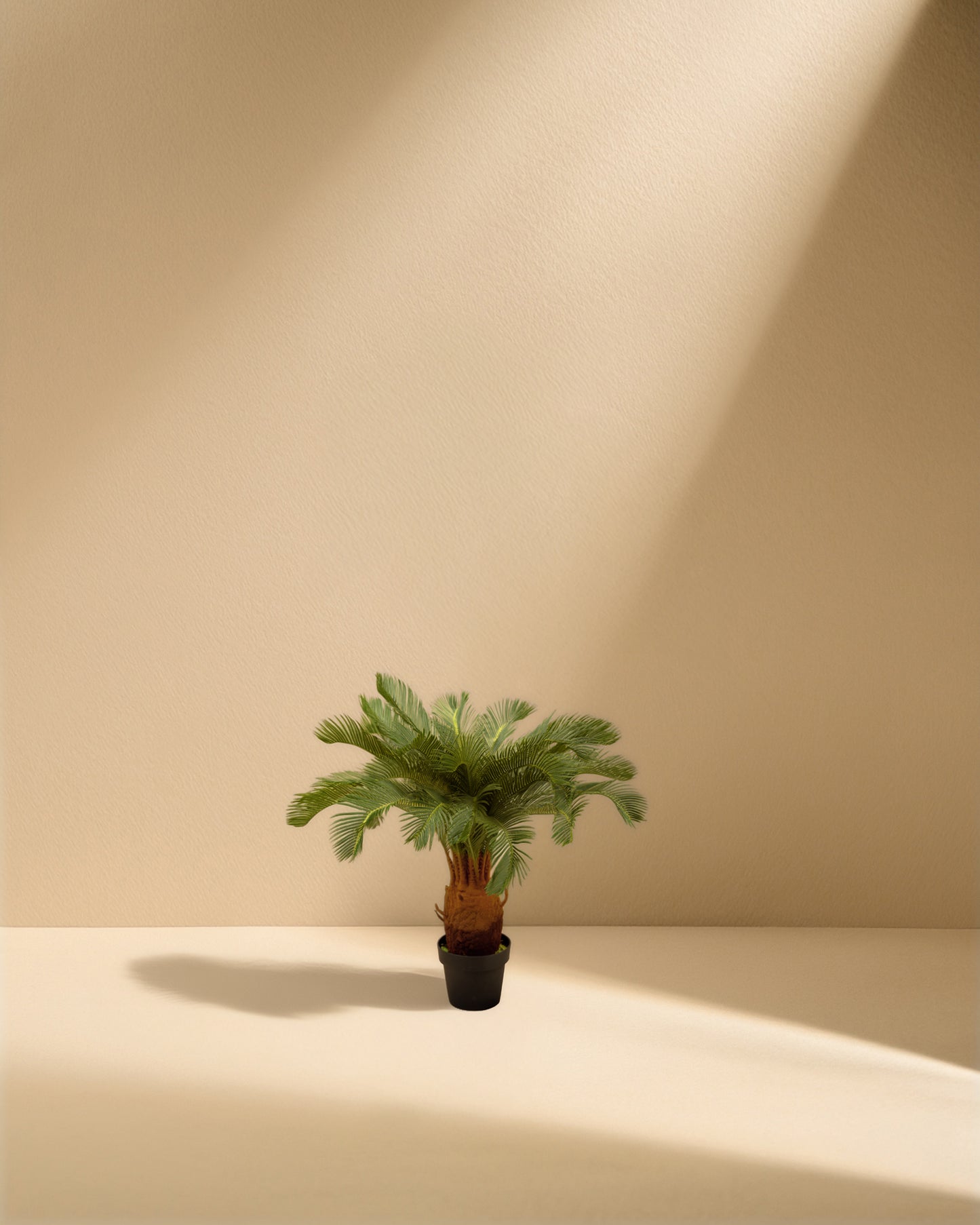 Artificial Sago Palm