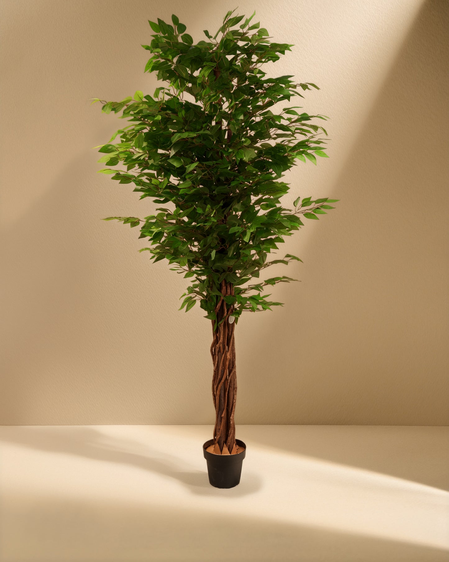 Artificial Ficus Benjamina