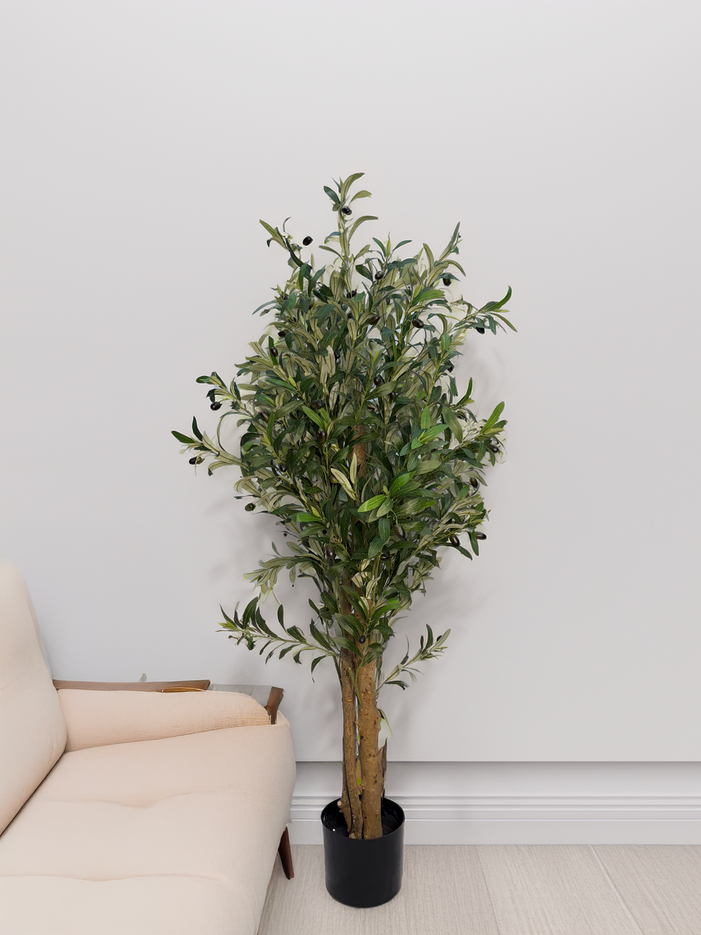 Olive artificial plan