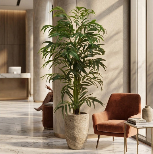Best Plants for Office Reception Areas in Dubai