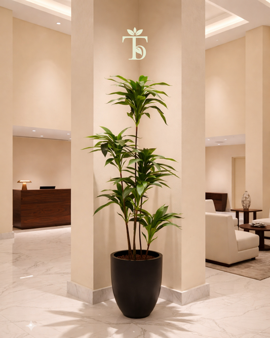 Types of Indoor Plants to Buy for Your Home or Office