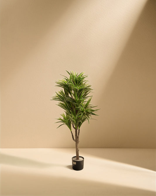 Artificial Dracaena Reflexa