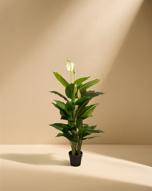 Artificial Peace Lily
