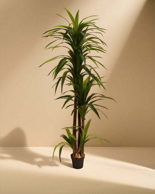 Artificial Dracaena Marginata (Madagascar Dragon Tree)