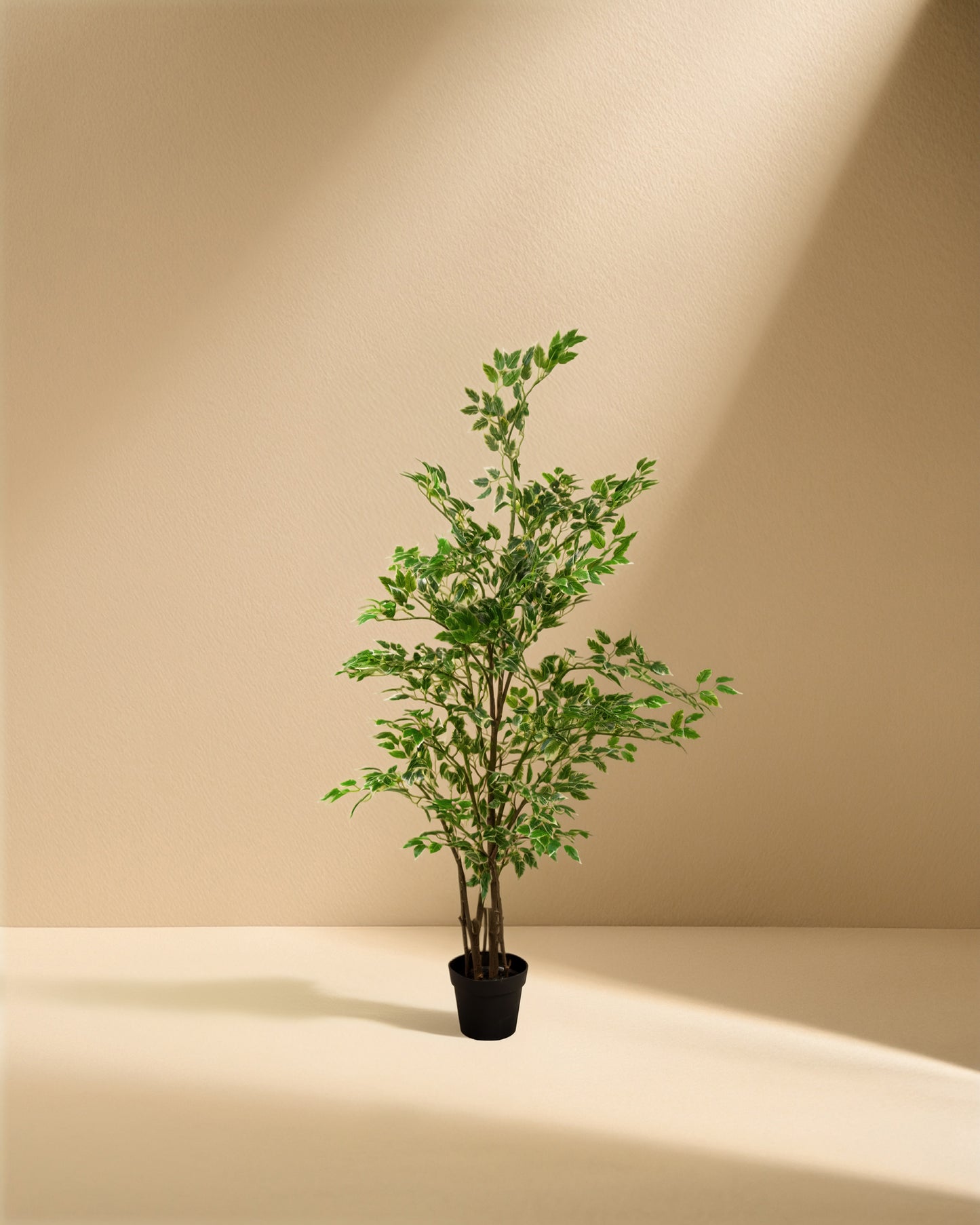 Artificial Ficus Tree