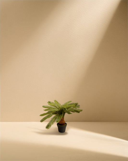 Artificial Sago Palm