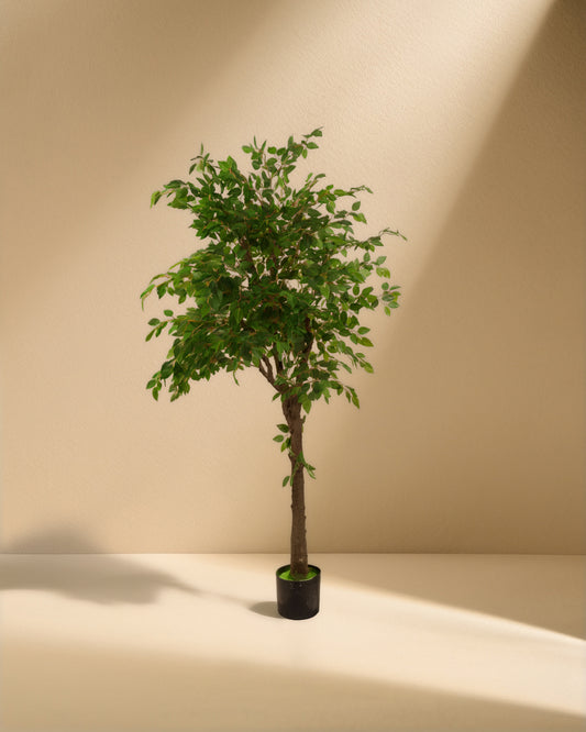 Artificial Ficus Benjamina