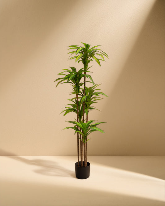 Artificial Dracaena Fragrans (Massangeana)