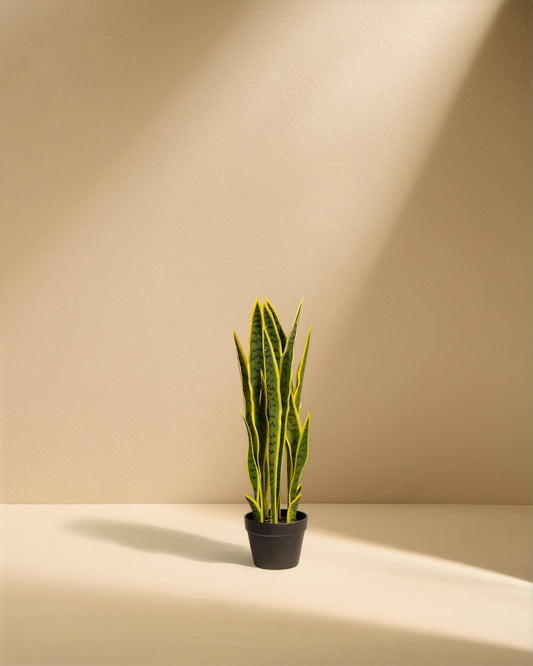 Artificial Snake Plant