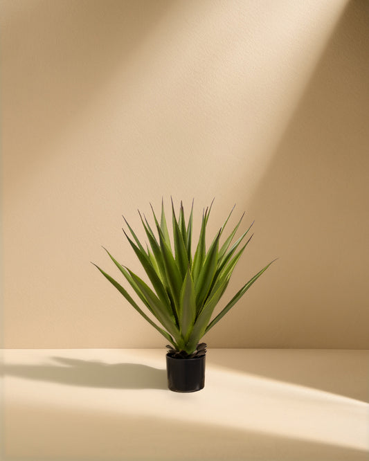 Artificial Agave Plant