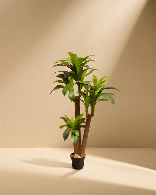 Artificial Dracaena Fragrans (Corn Plant)